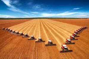 Brasil se aproxima de ultrapassar os EUA e liderar as exportações agrícolas globais