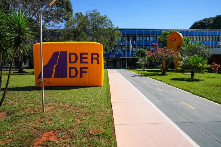 DER-DF realizará leilão on-line de veículos apreendidos no dia 31 de agosto