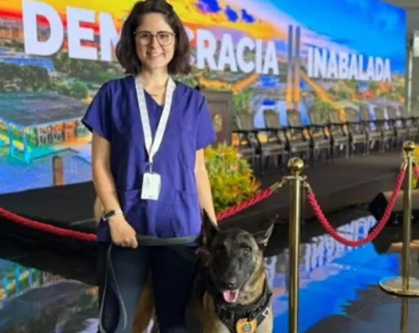 Médica-veterinária fica em estado grave após ataque de cão do Serviço de Cinotecnia do Senado