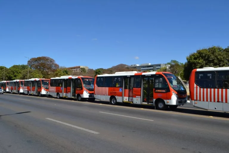 Zebrinhas e ônibus elétricos começam a circular em seis regiões administrativas do DF