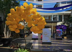 Terraço Shopping celebra a primavera com música, menus exclusivos e cenografia inspirada nos ipês