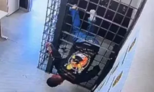 Homem preso por violência doméstica foge por fresta de grade em delegacia de Florianópolis