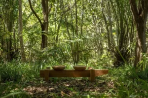 Patio Brasil apresenta “Brasilis”, primeira coleção autoral de mobiliário de Vinicius Rosaneli