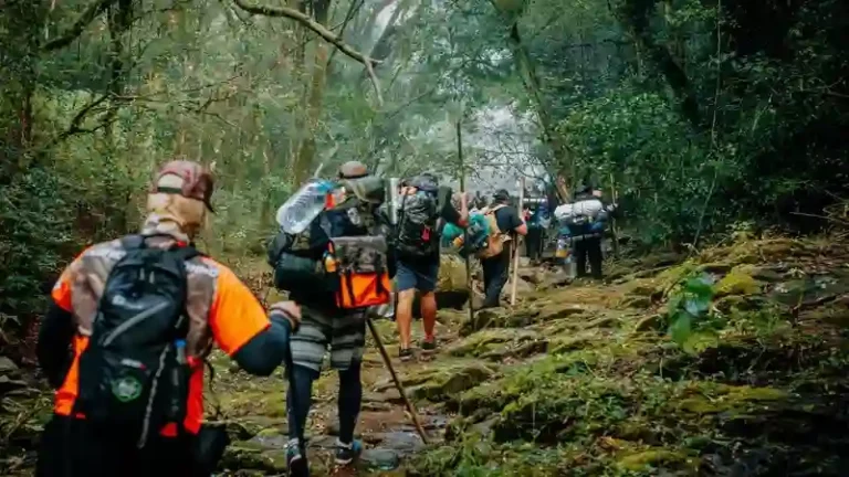 Setembro Amarelo reforça debate sobre saúde emocional masculina em imersão no DF