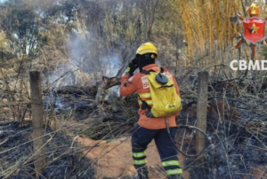 Bombeiros combatem incêndio em vegetação na L4 Norte, próximo à UnB e ao Ibama